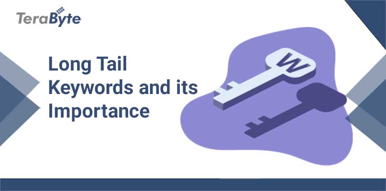 Seo Long Tail Keywords And Its Importance For Your Website Seo Long Tail Keywords And Its Importance For Your Website