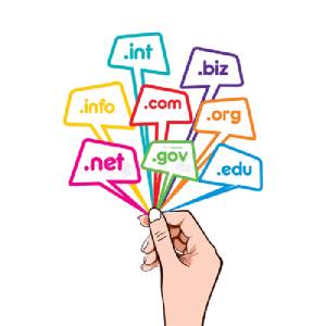 domain name registration